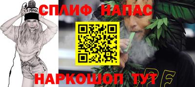 хмурый Кингисепп